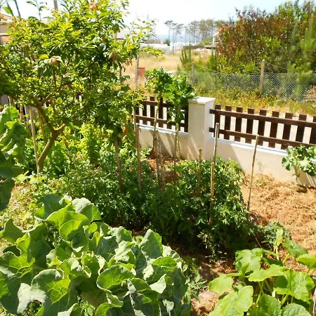 בית נופש Creto Village *